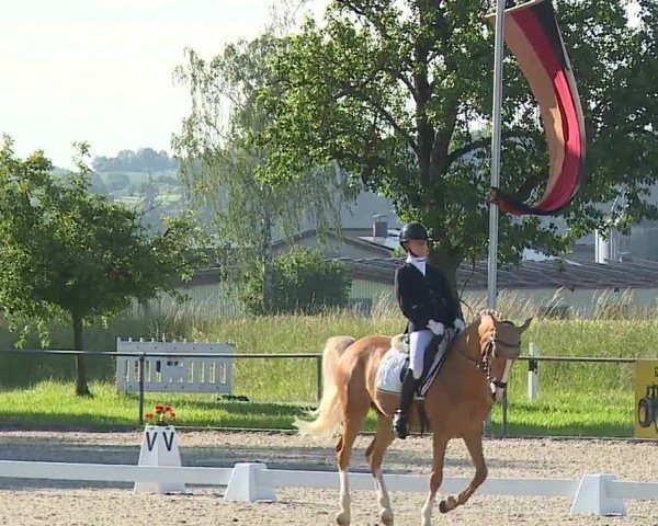 Reitturnier Rot am See- Musdorf 2024