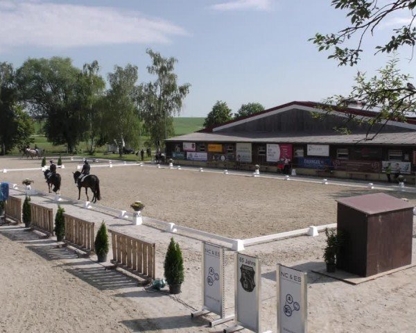 Reitturnier Taufkirchen-Vils/Obb. 2024