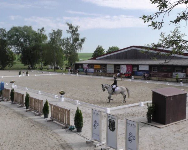 Reitturnier Taufkirchen-Vils/Obb. 2024