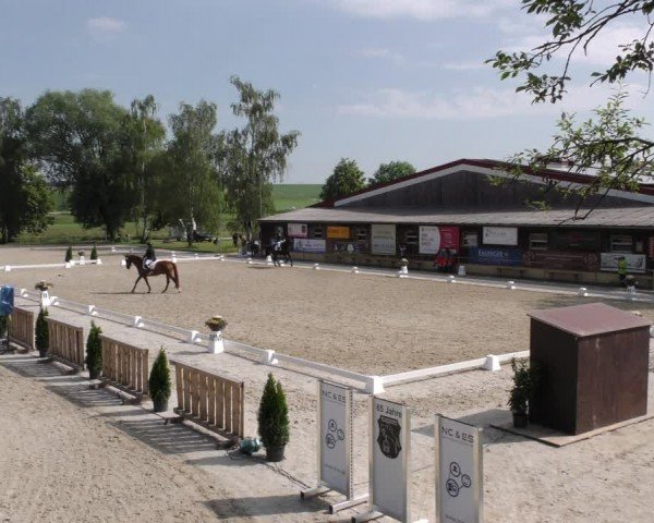 Reitturnier Taufkirchen-Vils/Obb. 2024