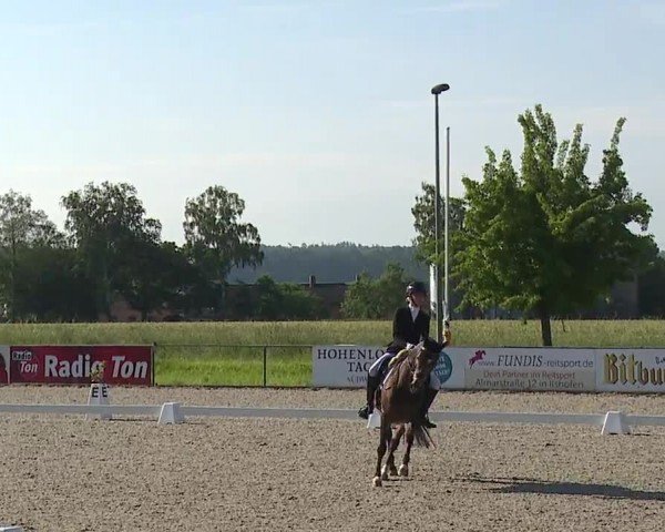 Reitturnier Rot am See- Musdorf 2024