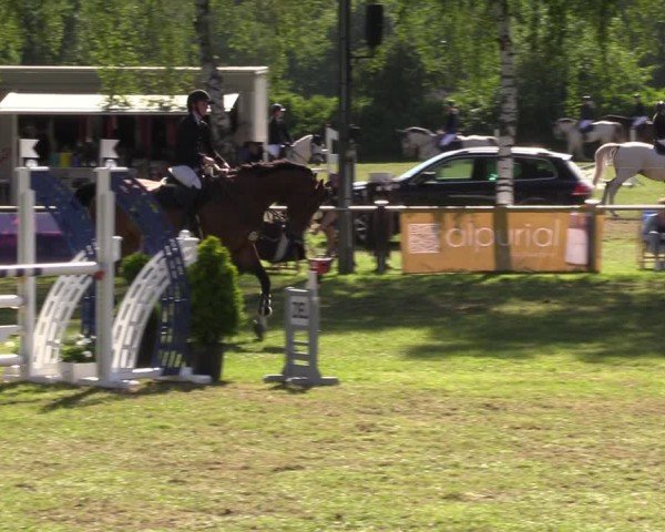 Reitturnier Hille 2024
