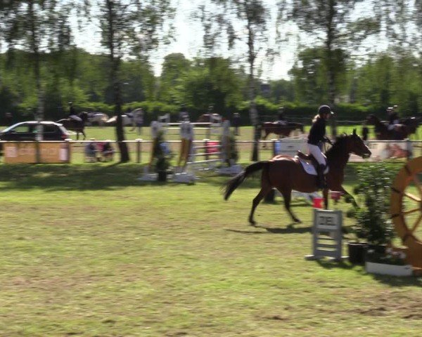 Reitturnier Hille 2024