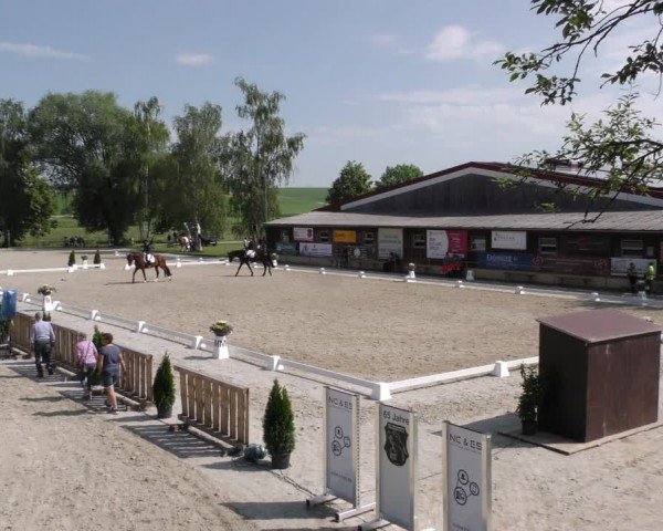 Reitturnier Taufkirchen-Vils/Obb. 2024