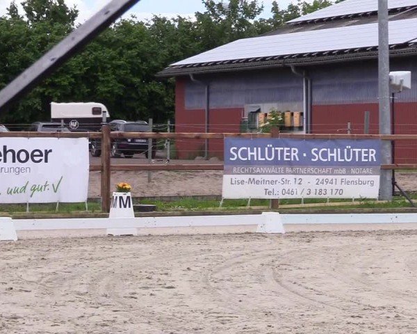Reitturnier Sörup 2024