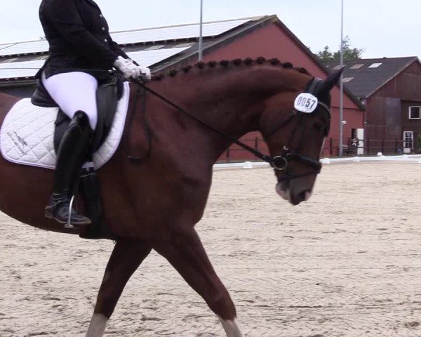 Reitturnier Sörup 2024