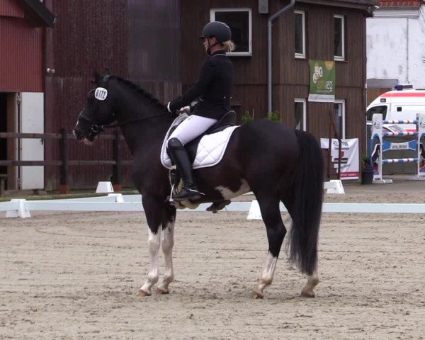 Reitturnier Sörup 2024