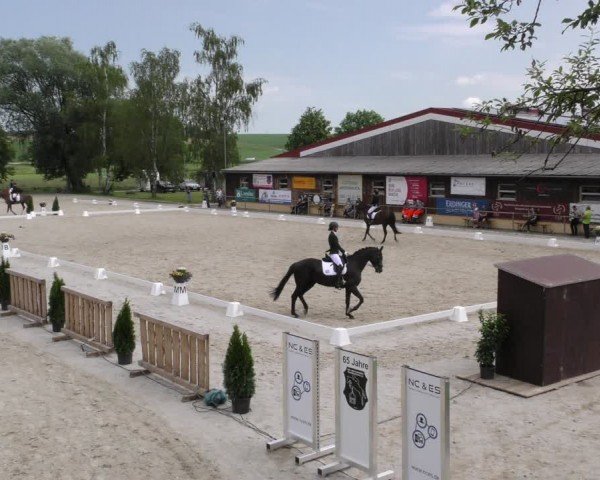 Reitturnier Taufkirchen-Vils/Obb. 2024