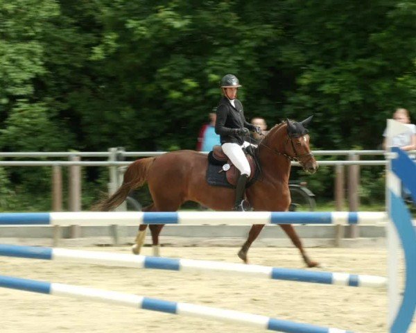 Reitturnier Winnenden 2024