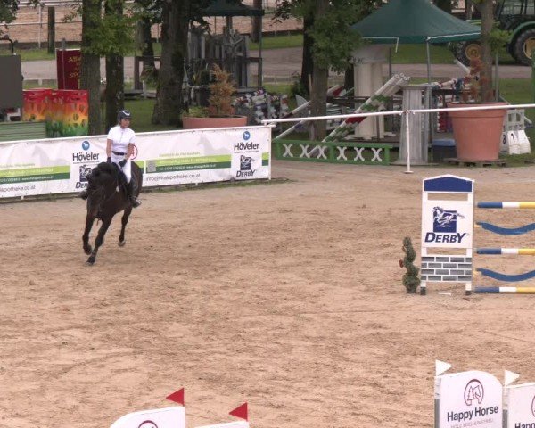 Reitturnier Stadl-Paura 2024