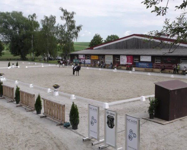 Reitturnier Taufkirchen-Vils/Obb. 2024