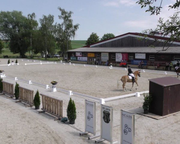 Reitturnier Taufkirchen-Vils/Obb. 2024