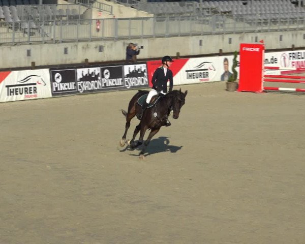 Reitturnier Westergellersen 2021