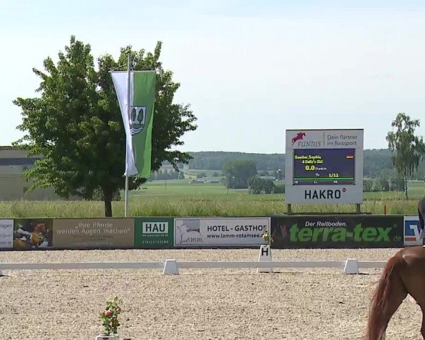 Reitturnier Rot am See- Musdorf 2024