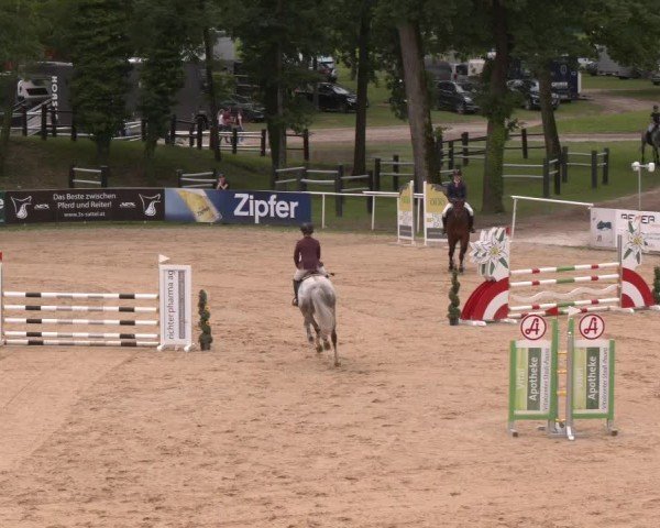 Reitturnier Stadl-Paura 2024