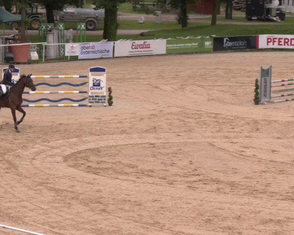 Reitturnier Stadl-Paura 2024