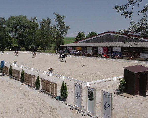 Reitturnier Taufkirchen-Vils/Obb. 2024