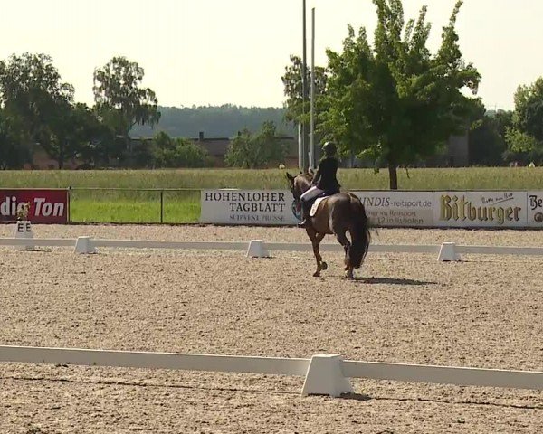 Reitturnier Rot am See- Musdorf 2024