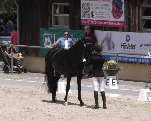 Reitturnier Taufkirchen-Vils/Obb. 2024