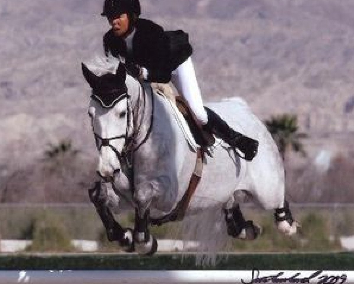 stallion Corsar (Czech Warmblood, 1997, from Carthago)