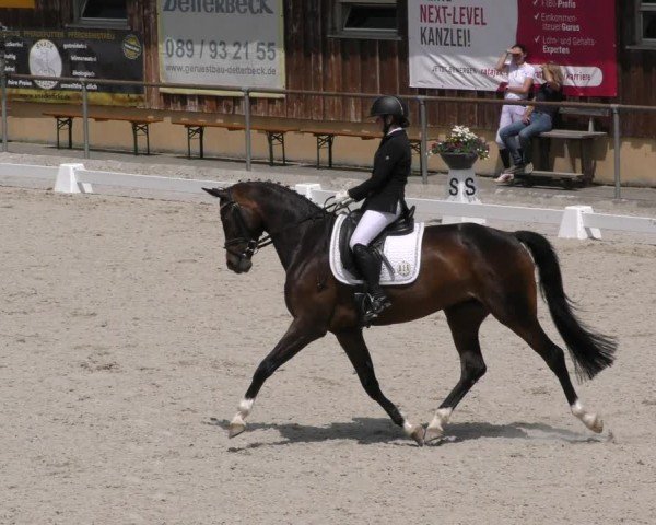 Reitturnier Taufkirchen-Vils/Obb. 2024
