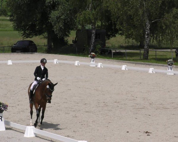 Reitturnier Taufkirchen-Vils/Obb. 2024