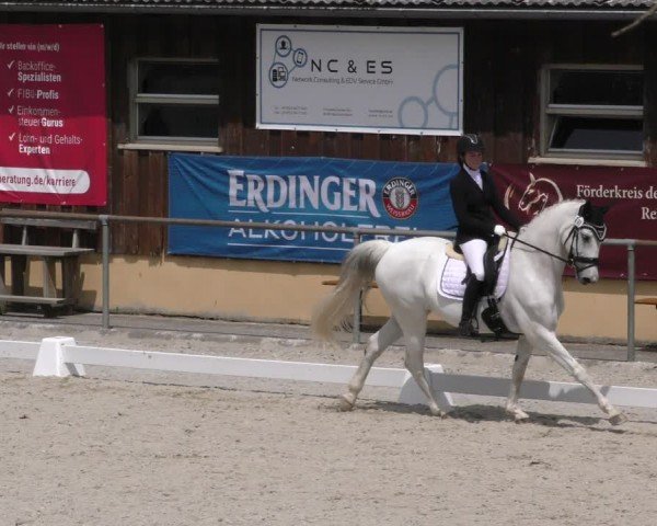 Reitturnier Taufkirchen-Vils/Obb. 2024