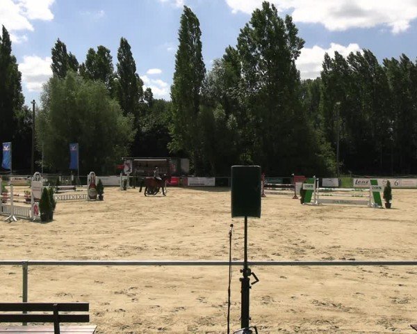 Reitturnier Oelde 2024