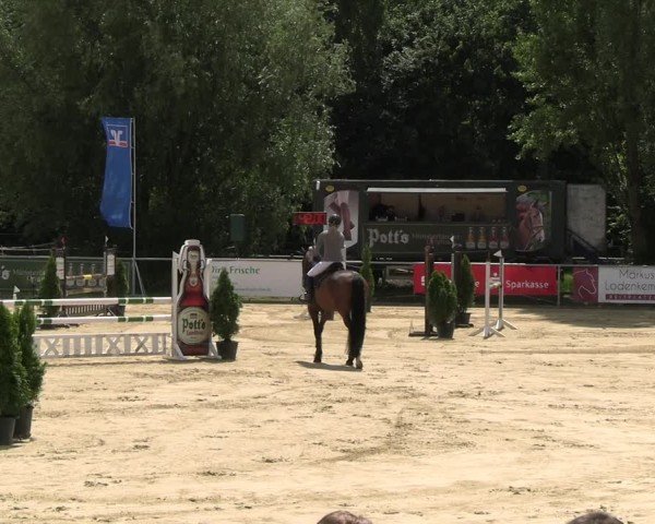 Reitturnier Oelde 2024