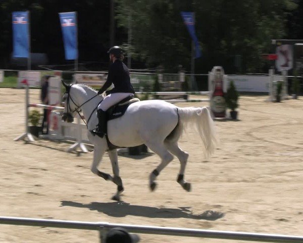 Reitturnier Oelde 2024