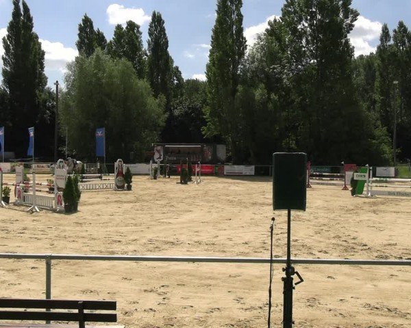 Reitturnier Oelde 2024