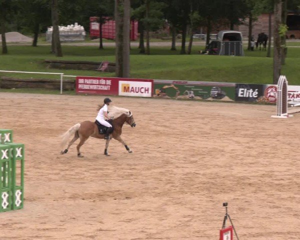 Reitturnier Stadl-Paura 2024