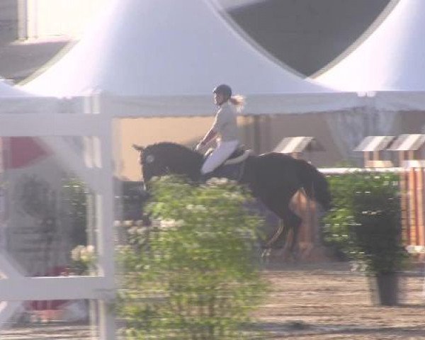 Datteln 2012