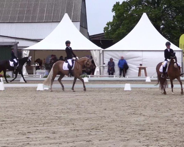 Reitturnier Sörup 2024