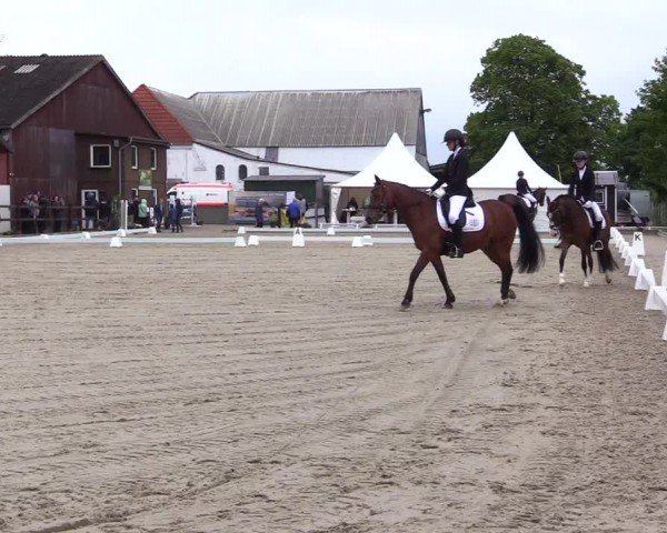 Reitturnier Sörup 2024