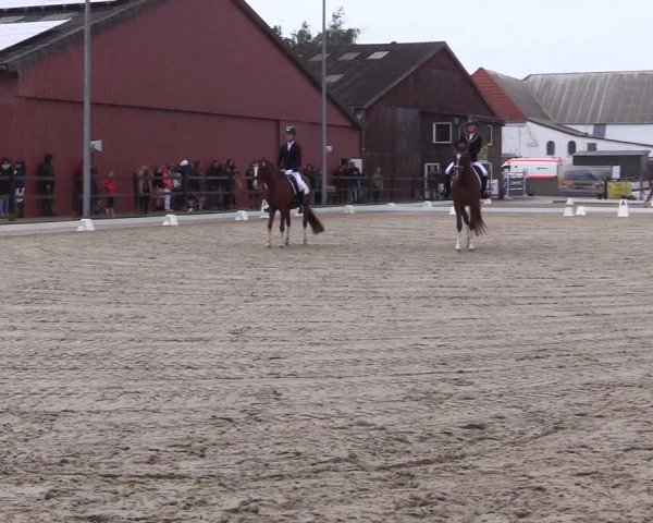 Reitturnier Sörup 2024