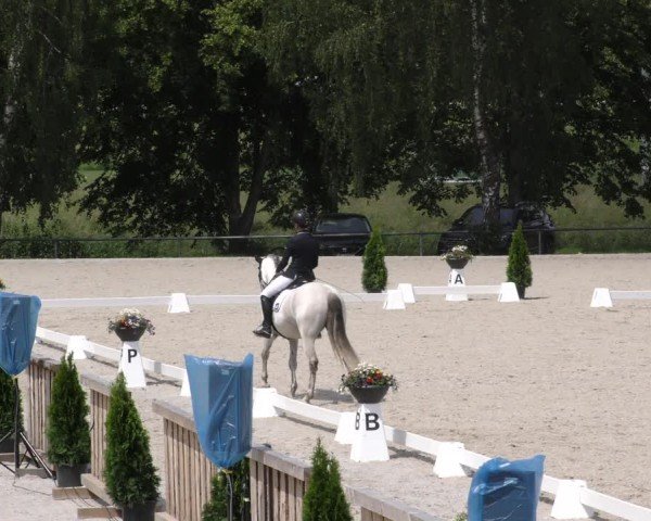 Reitturnier Taufkirchen-Vils/Obb. 2024