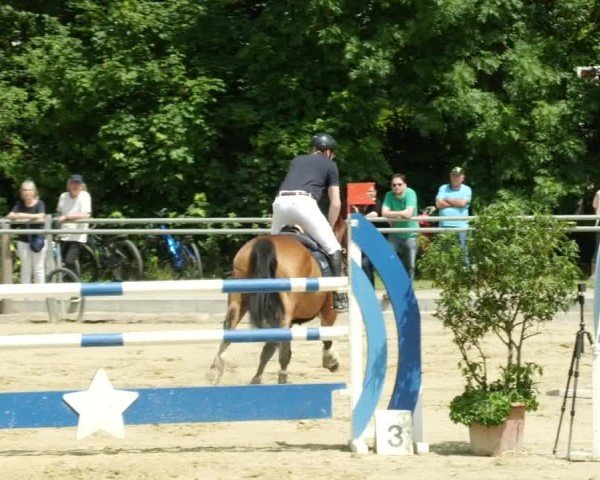 Reitturnier Winnenden 2024