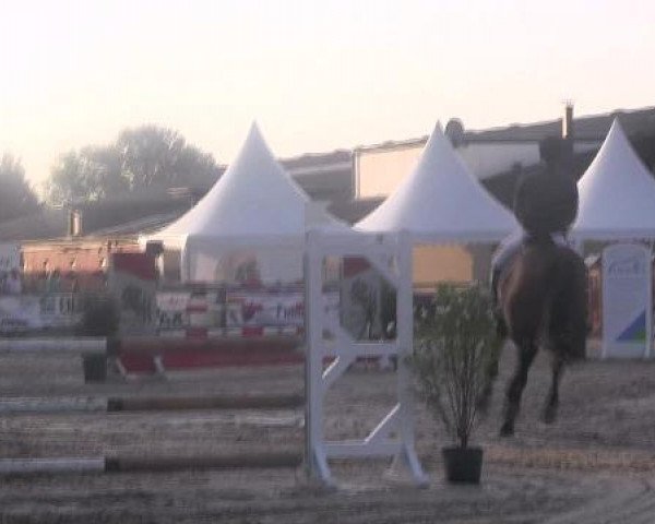 Datteln 2012
