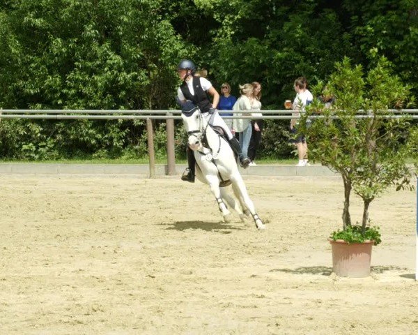 Reitturnier Winnenden 2024