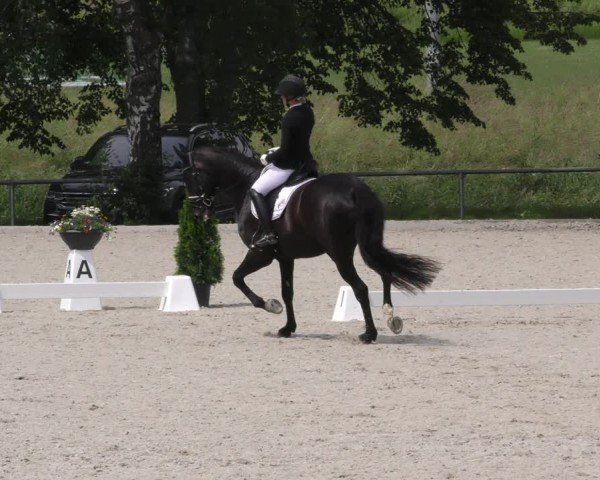 Reitturnier Taufkirchen-Vils/Obb. 2024