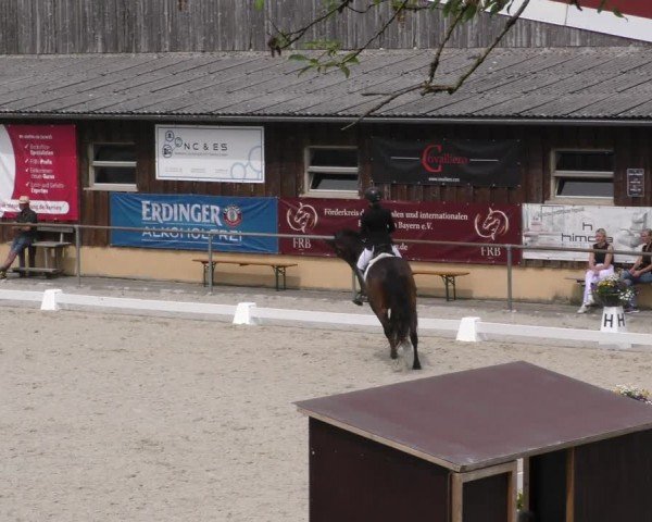 Reitturnier Taufkirchen-Vils/Obb. 2024