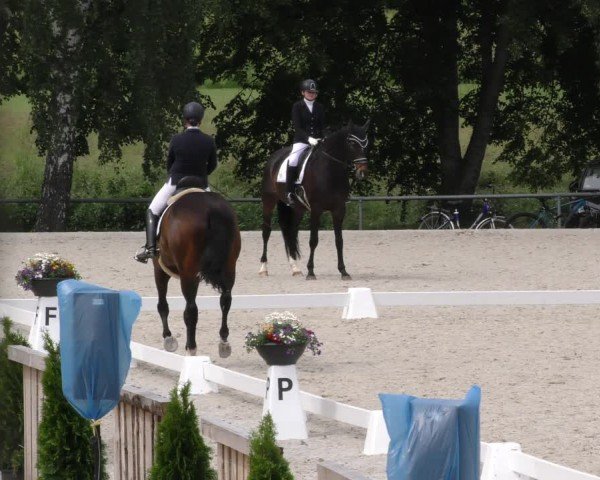 Reitturnier Taufkirchen-Vils/Obb. 2024