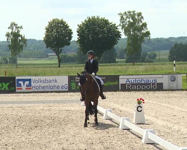 Reitturnier Rot am See- Musdorf 2024
