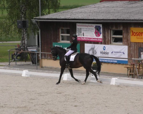 Reitturnier Taufkirchen-Vils/Obb. 2024