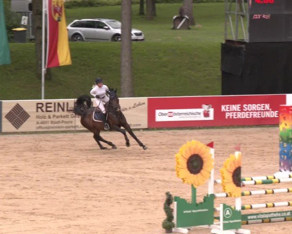 Reitturnier Stadl-Paura 2024