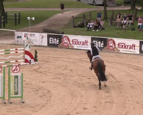 Reitturnier Stadl-Paura 2024