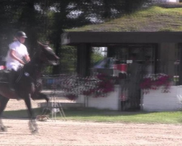 Datteln 2012