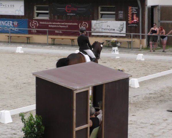 Reitturnier Taufkirchen-Vils/Obb. 2024