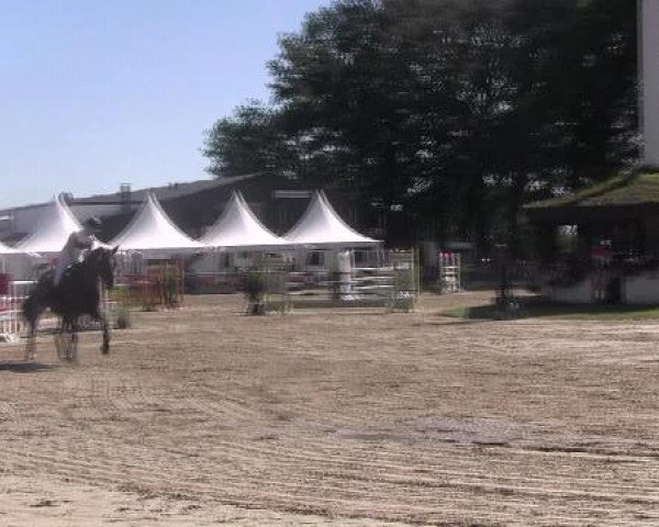 Datteln 2012